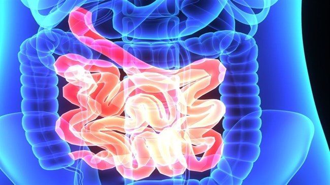 Positive TAPUR data in advanced CRC presented at GI Cancer Symposium
