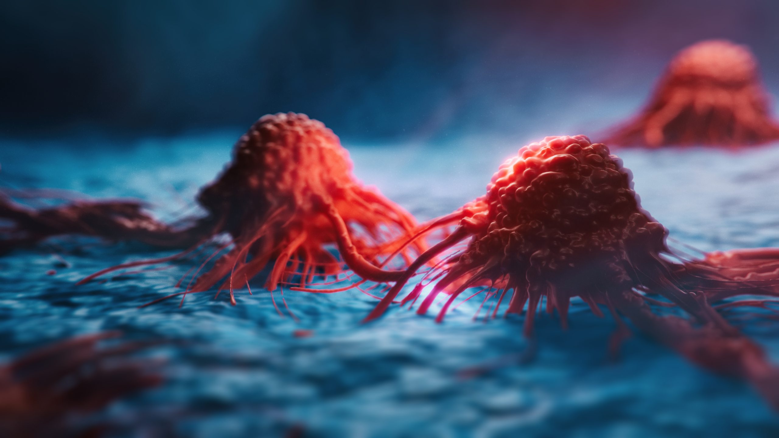 FDA approves tucatinib with trastuzumab and pertuzumab for the maintenance treatment of HER2-positive breast cancer